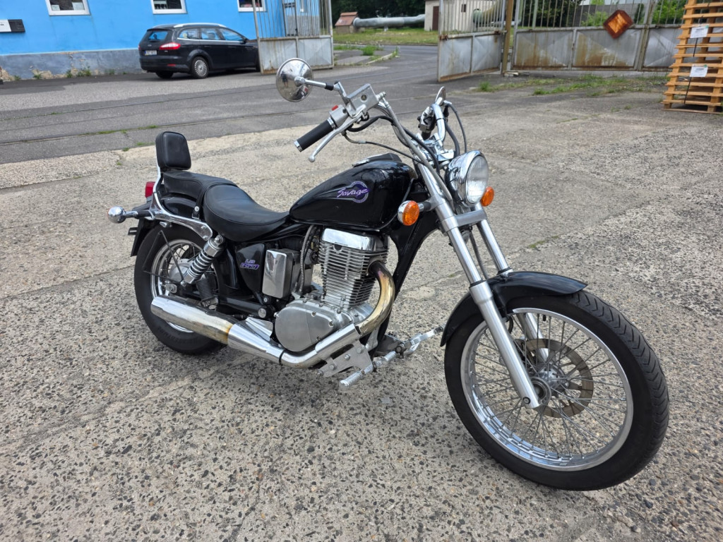 Suzuki LS 650 Savage